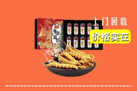 中山古镇镇回收冬虫夏草